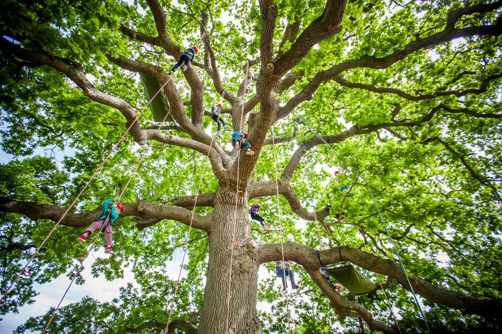 Adventure Activities Isle Of Wight - Isle Of Wight Adventure Activities - Goodleaf Tree Climbing Isle Of Wight